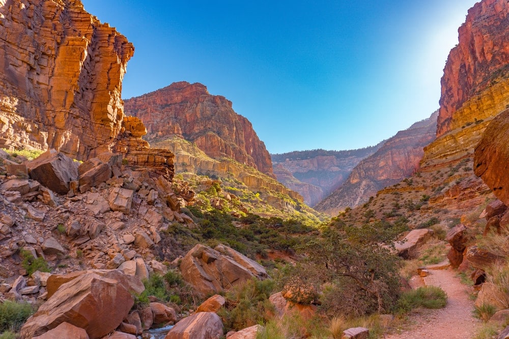 Image of a canyon's terrain