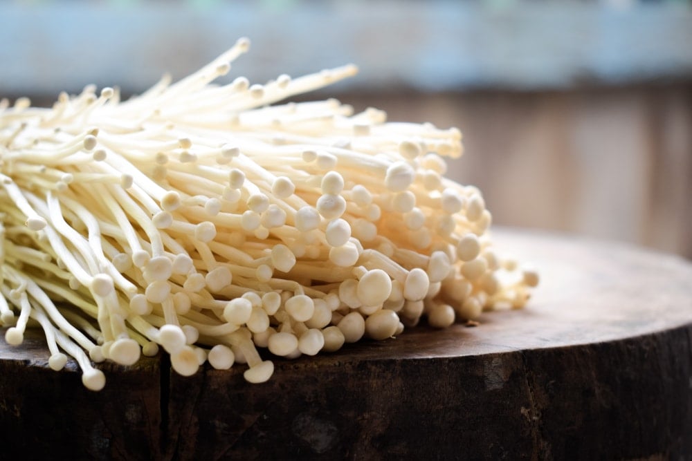 Enoki Mushrooms (Flammulina velutipes)