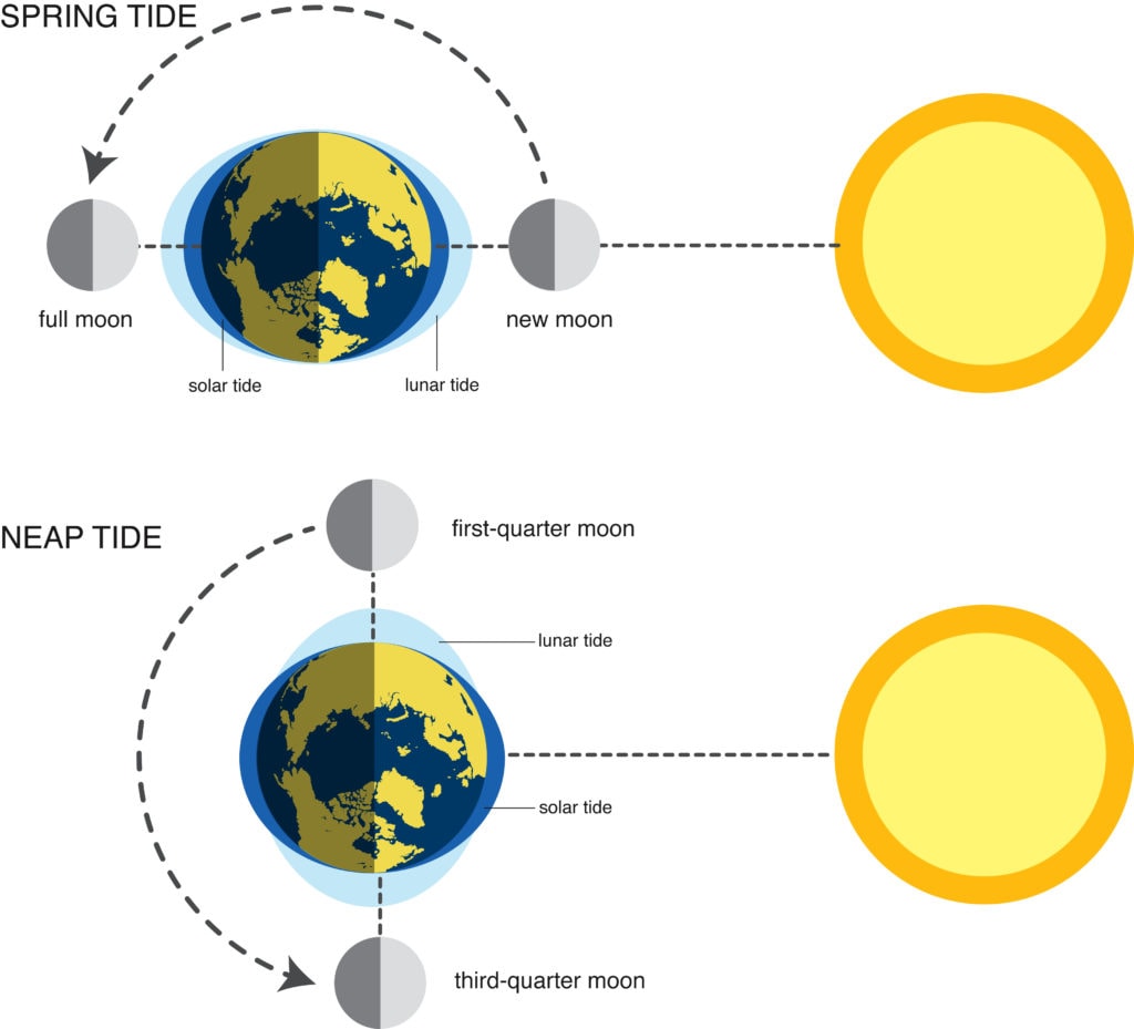 image representation of spring tide and neap tide