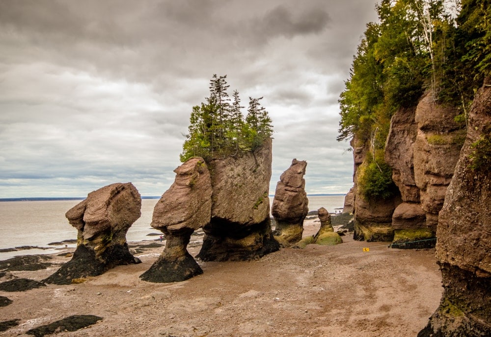 Bay of Fundy during low tide