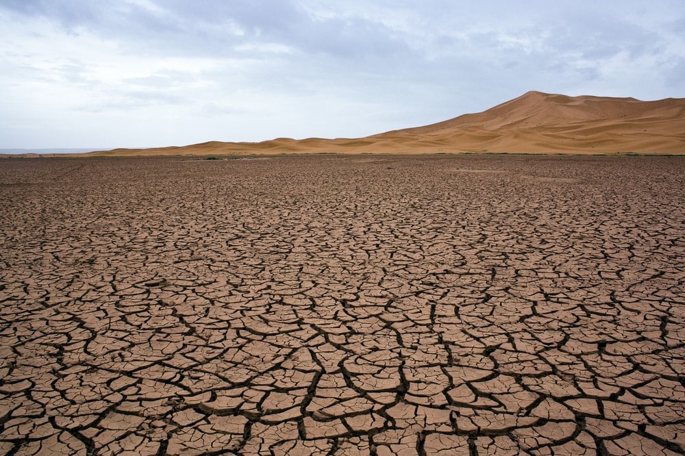 Image of a playas or a dry lake bed