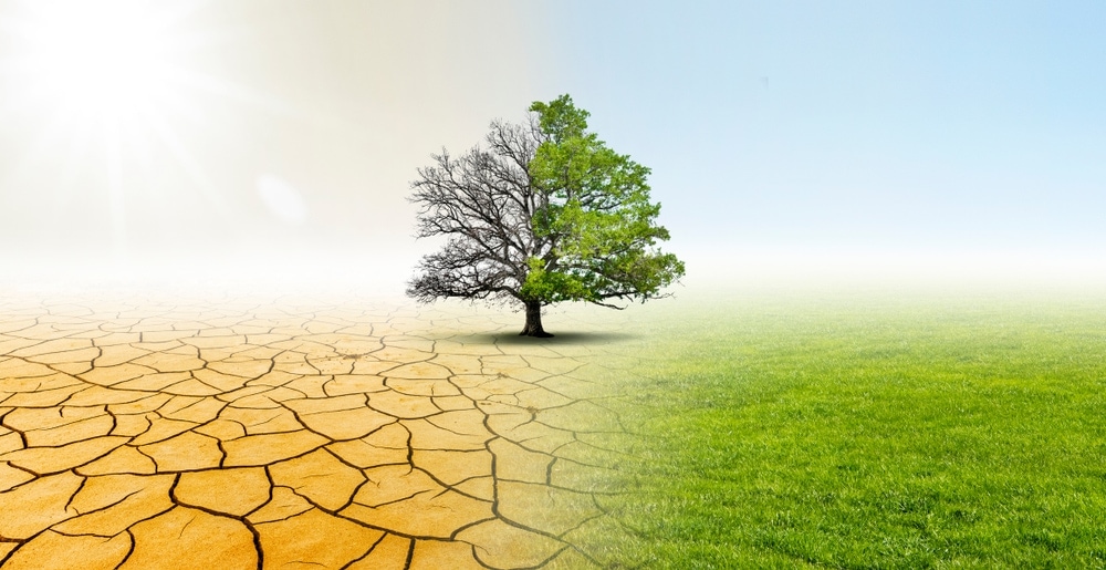 Drought and green nature image