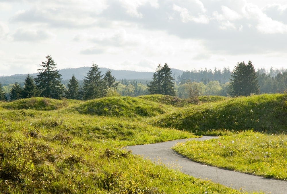 Image of Mima Mound NatUral