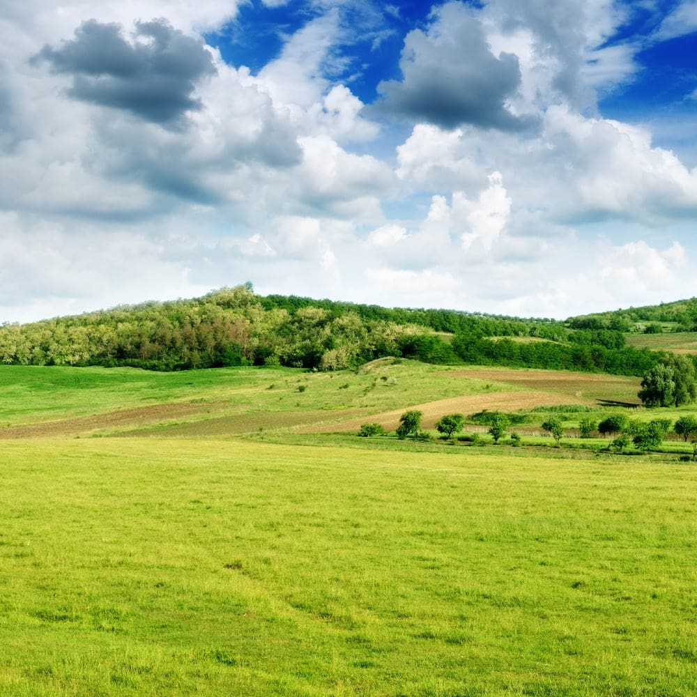 Image of plain terrain