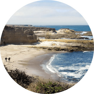 the intertidal ocean ecosystem or shoreline on a beach where the ocean water and the land meet.