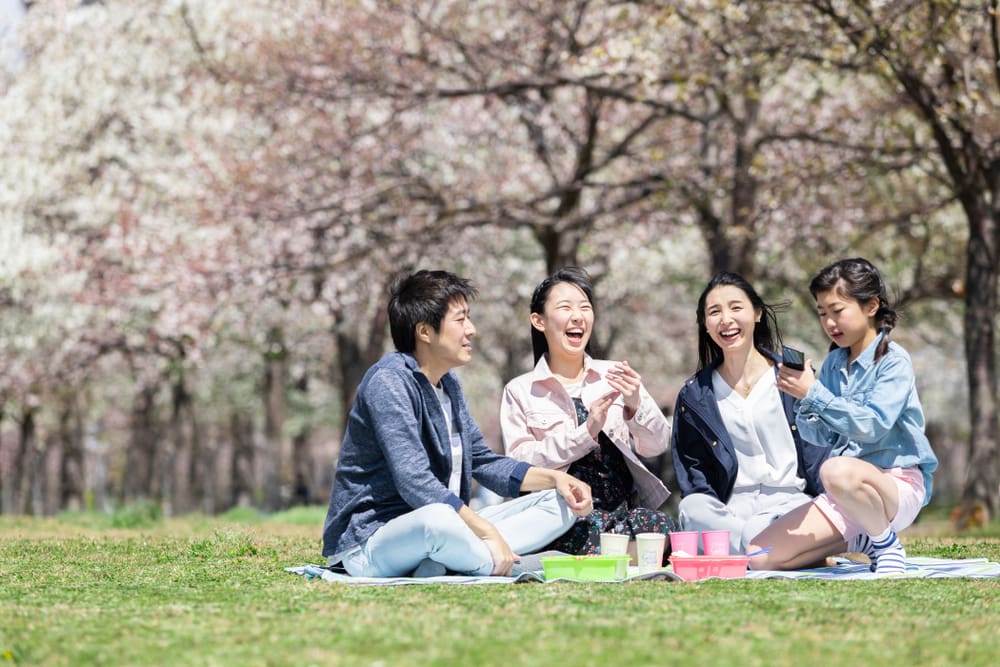 Family doing a picnic under a cherry tree