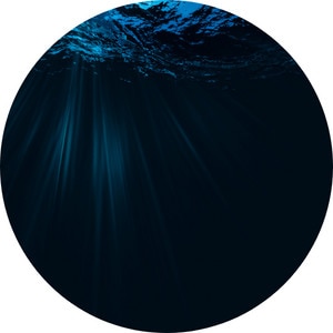 abyssal ecosystem found in the deep waters where the slight from the sun cannot penetrate in the water