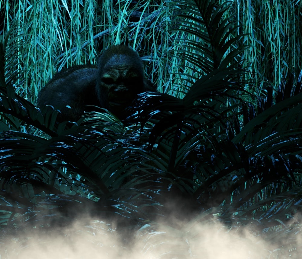 Skunk Apes folklore of Florida