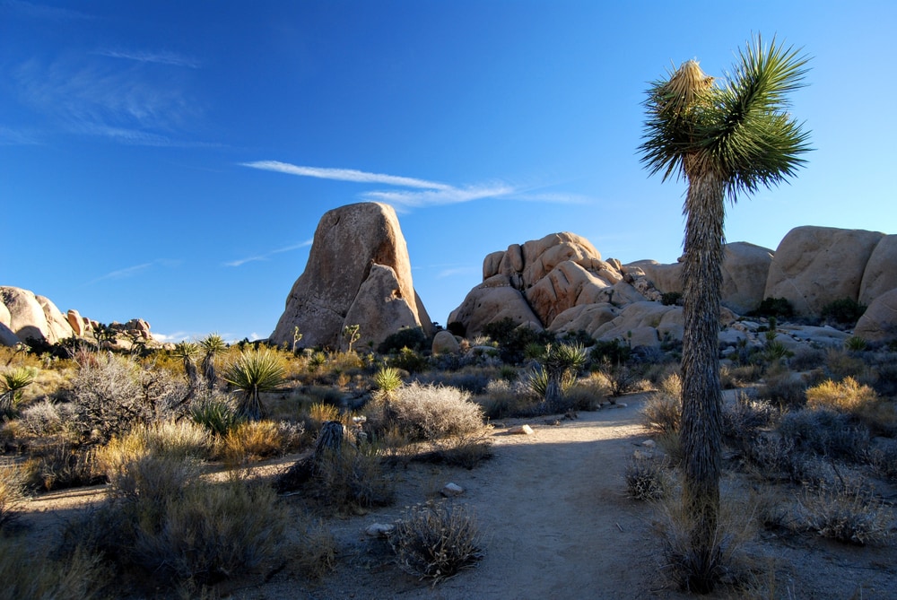 Split Rock trail in Joshua Tree National Park, California.