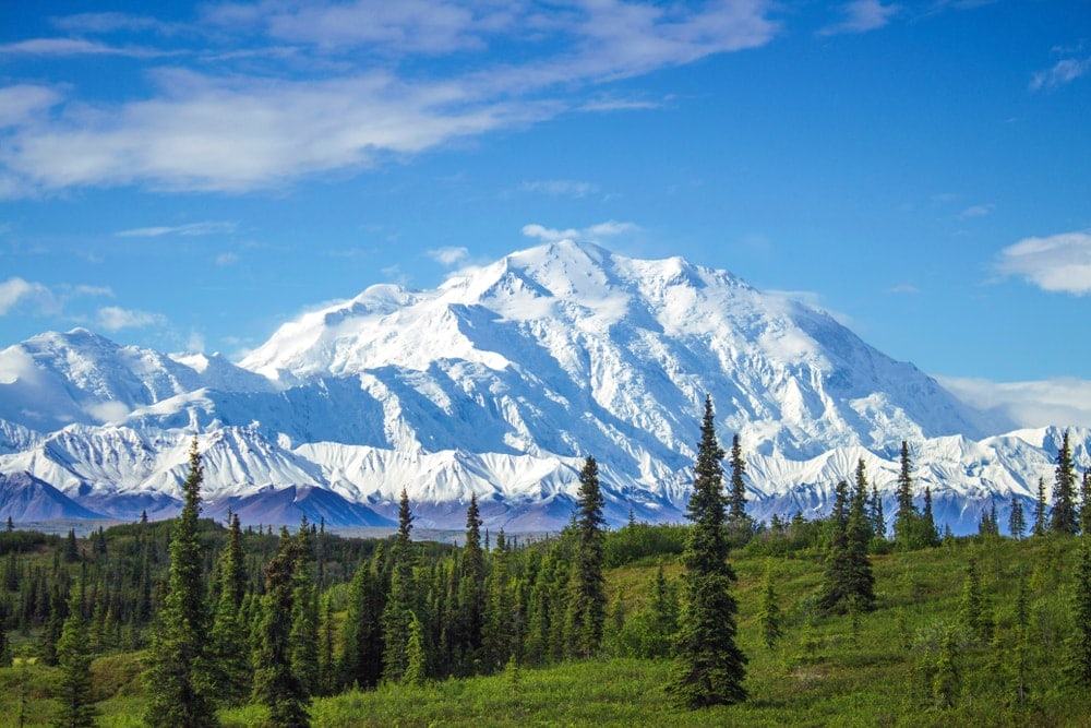 Early Morning Voew of Mount Denali, the highes peak in USA, in Denali National Park