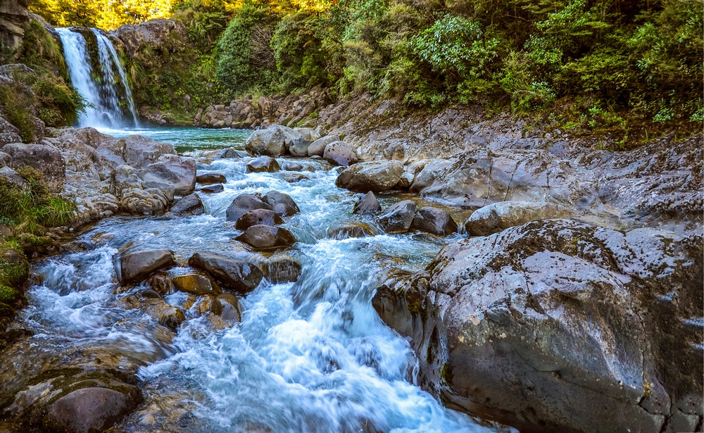 river and a stream which are classified as moving waters or lotic ecosystem