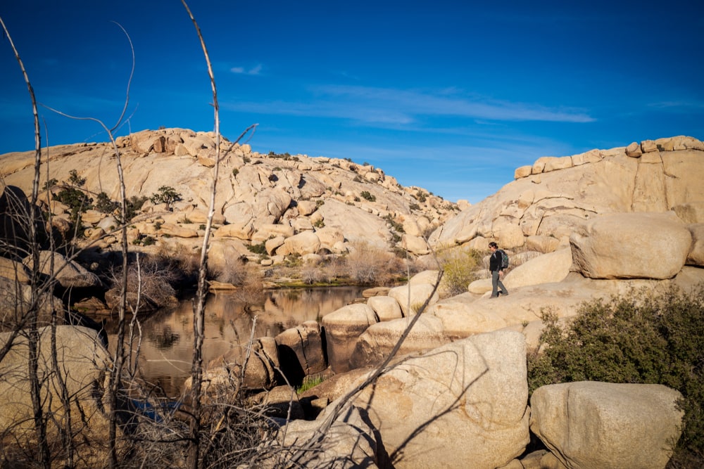 Woman on Barker Dam Hiking Trail in Joshua Tree