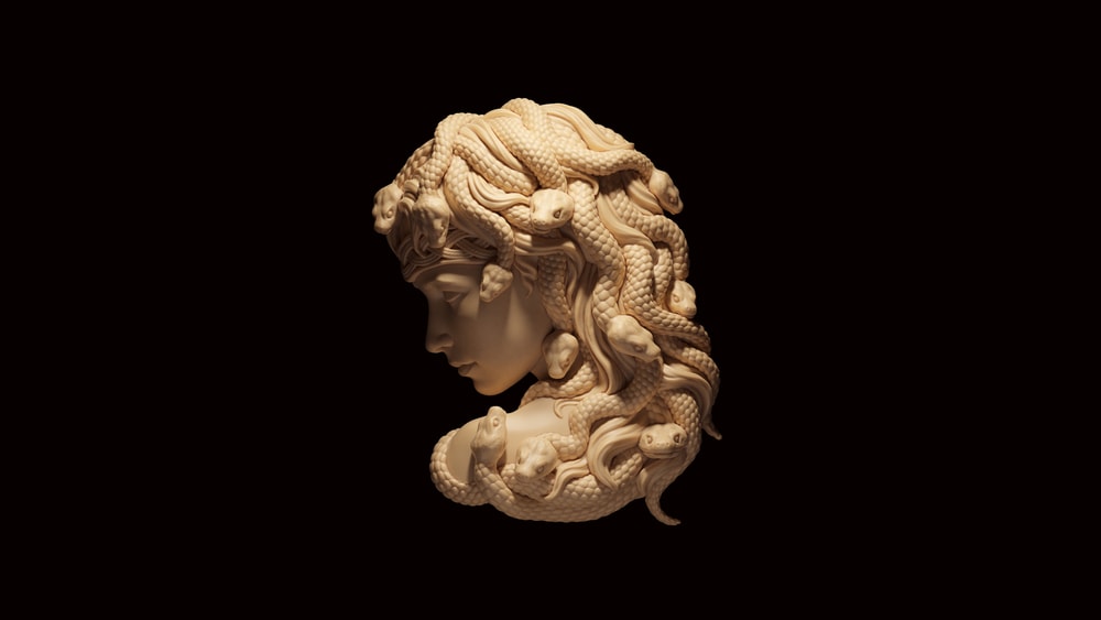 a well-known story from Greek Mythology, about Medussa, a beautiful woman cursed to have snakes as hair.  