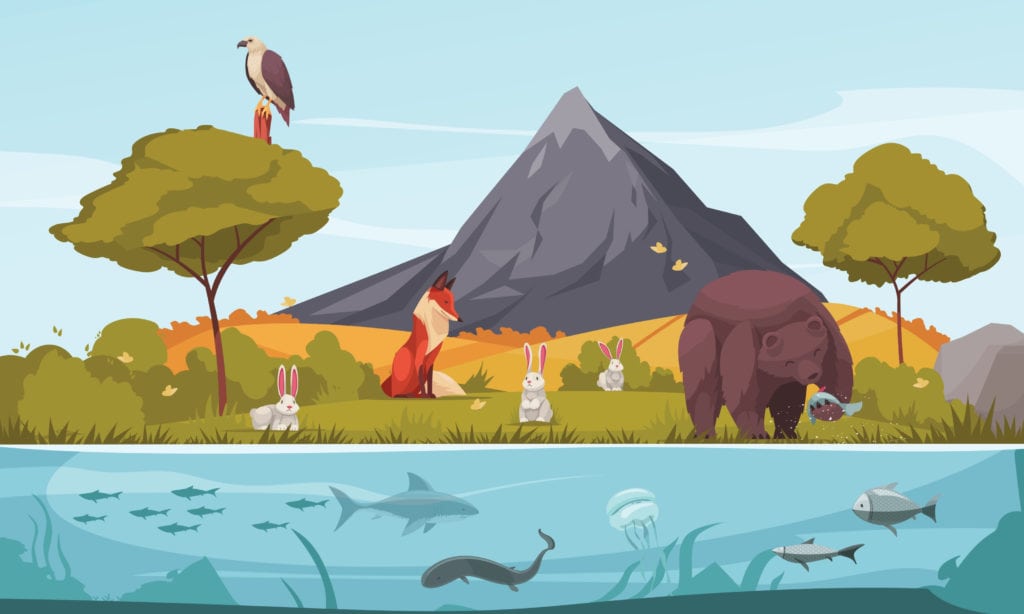 variety of animals species living in an ecosystem 