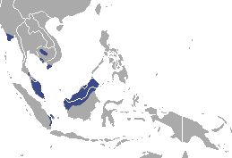 the hairy-nosed otter distribution map