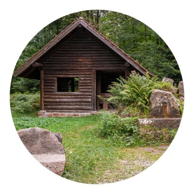 Rusty wooden house in the middle of forest