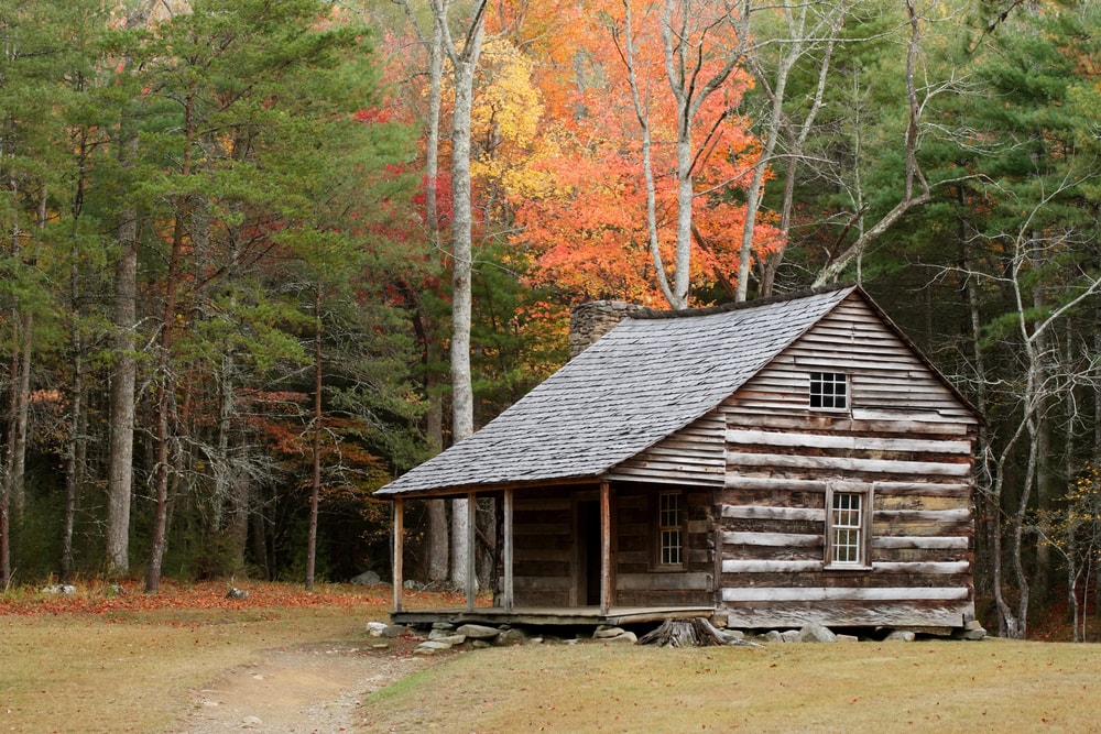 Wood cabin built in the middle of the forest