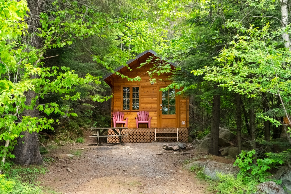 Wooden house with two chairs standing in the forest