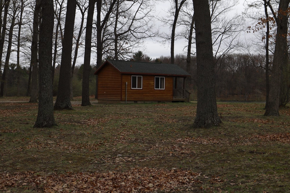 Wooden house built in the middle of wilderness