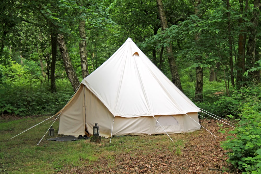 Camping tent built in the middle of forest