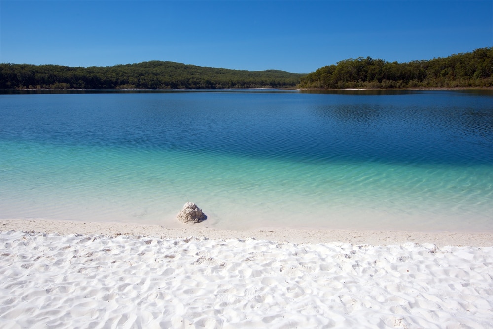 Front view of a blue freshwater in the us