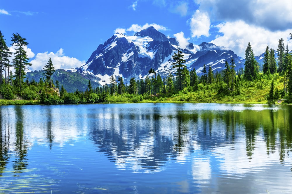 Mount Baker in Washington with the view of its river