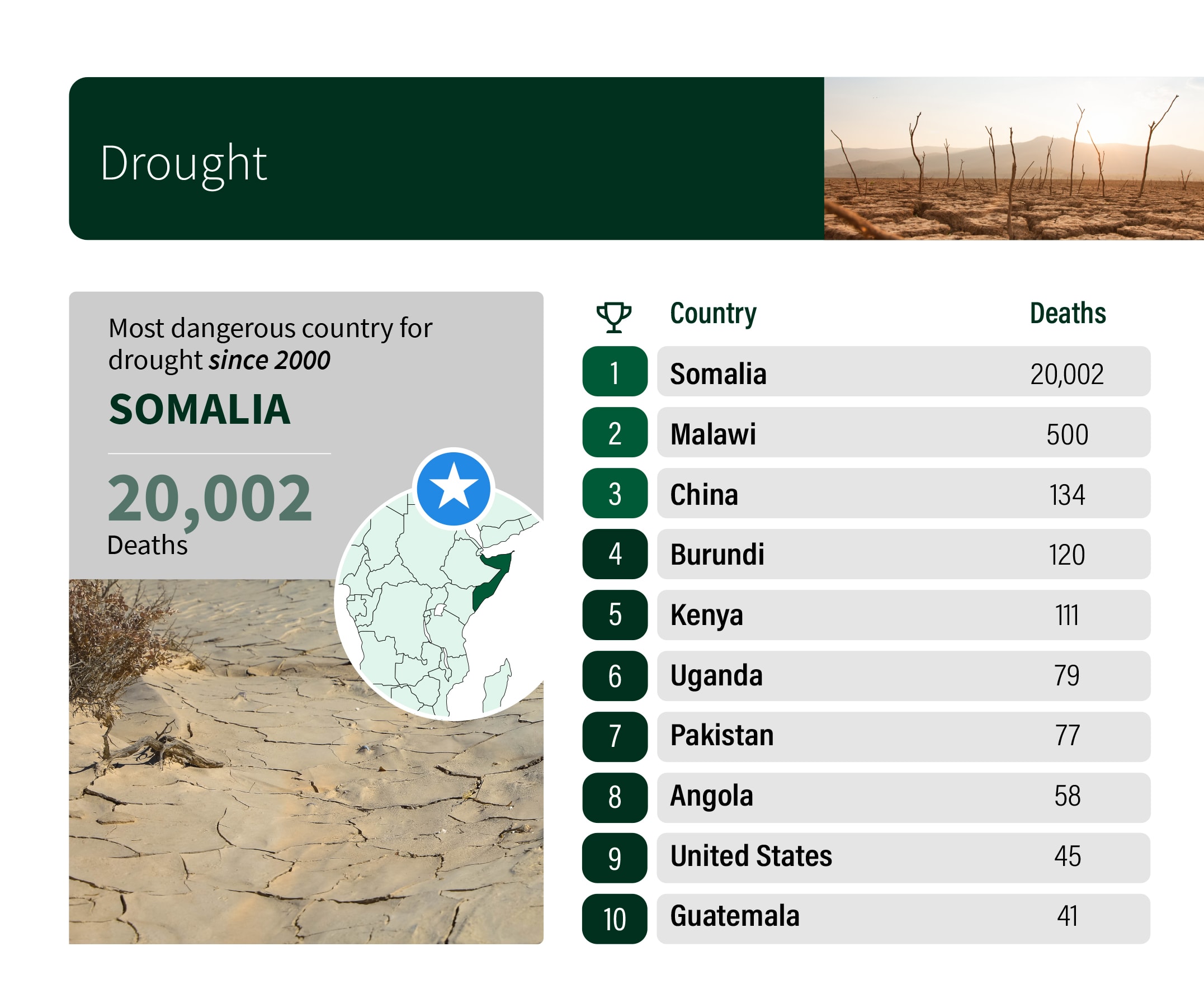 Death by drought infographics