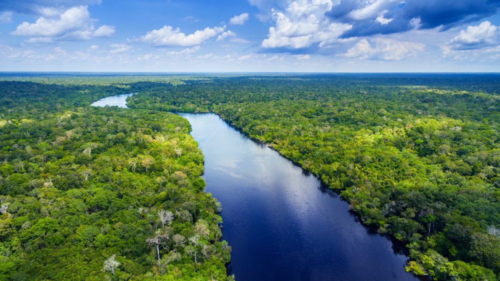 aerial view of the Amazon rainforest in Brazil