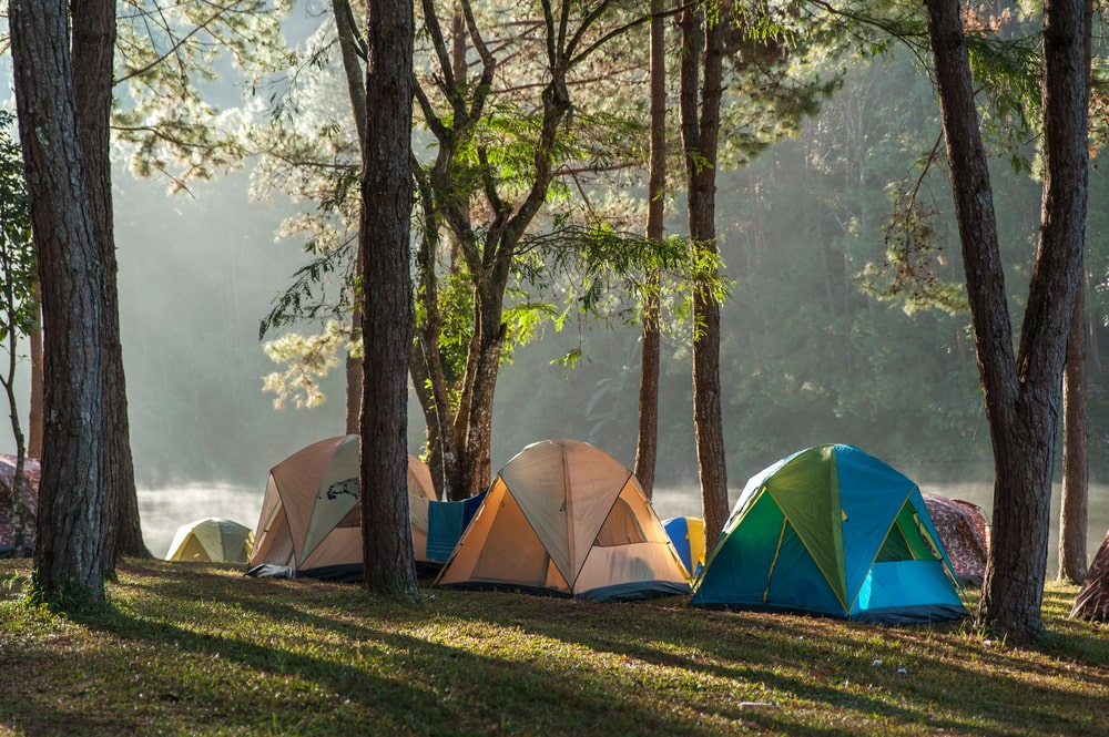 Tents on a campsite. A shelter is needed in any camping styles 