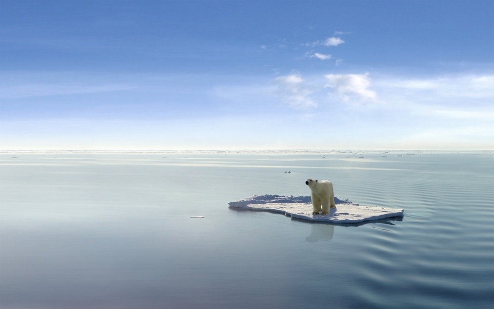 a polar bear standing on the remaining ice in the waters