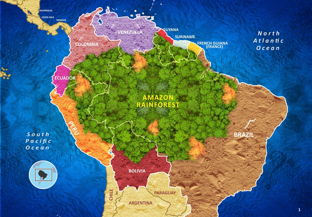3d illustration of the amazon rainforest