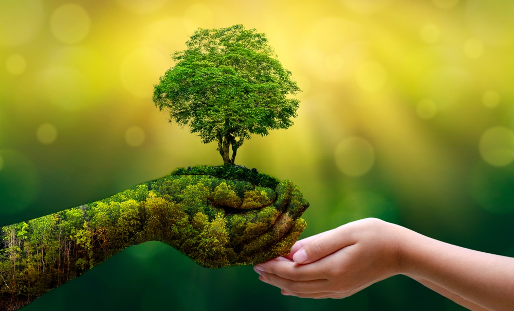 environment Earth Day In the hands of trees growing seedlings. 