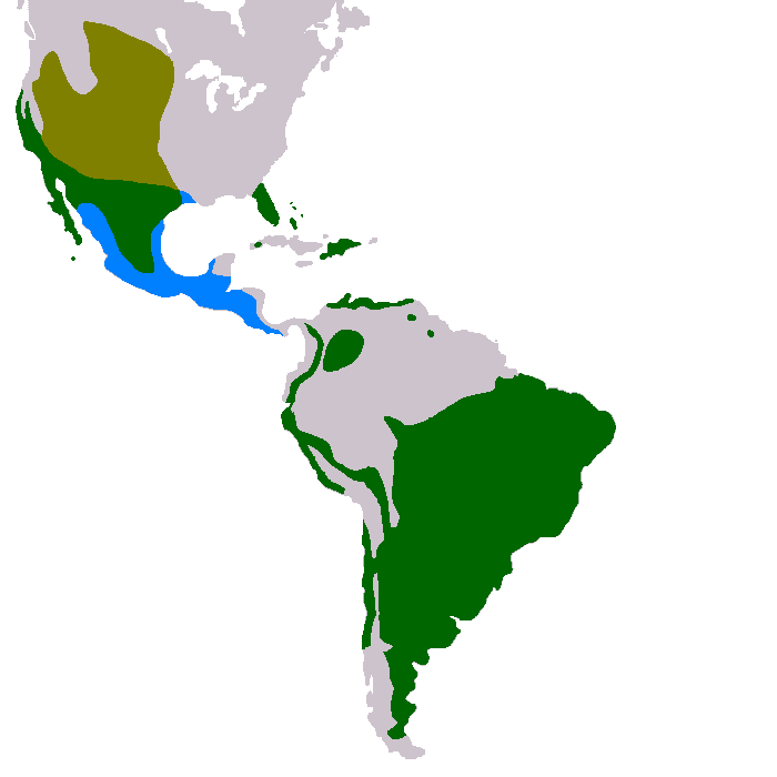 range map pf the burrowing owls