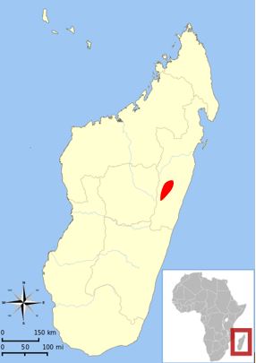 distribution map of golden mantella