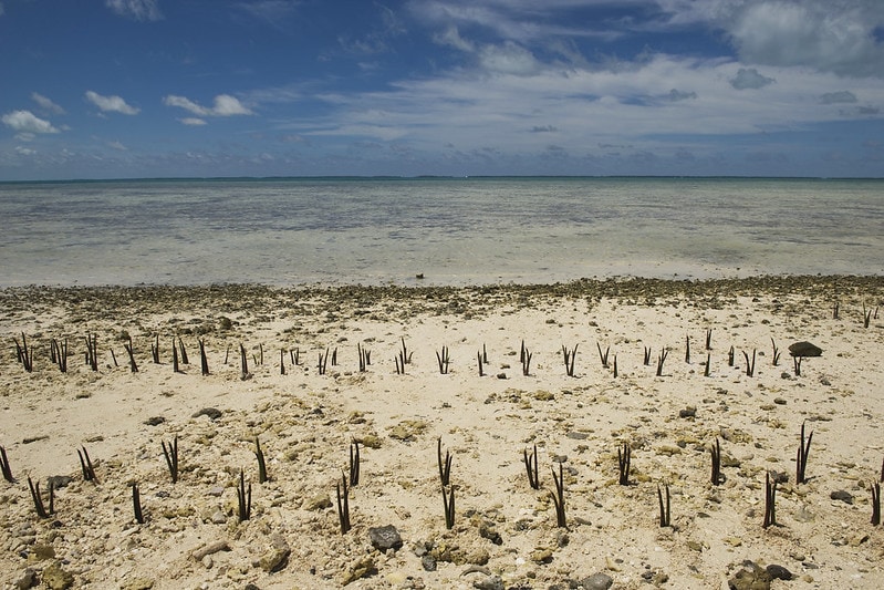 Photo of the effects of climate change