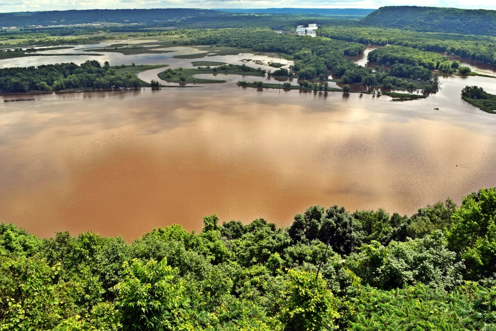 Image of the Mississippi River delta, an example of bird-foot delta