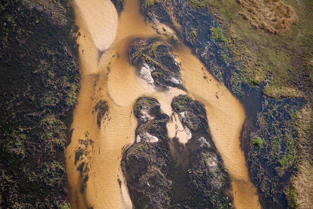close up of a delta and the green areas with plant life