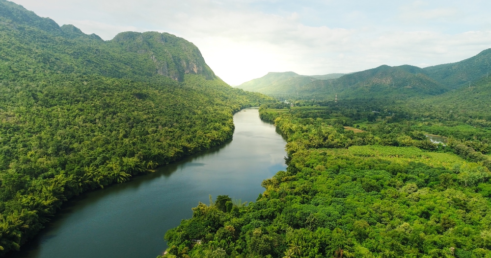 amazing view of a river flowing through a jungle 
