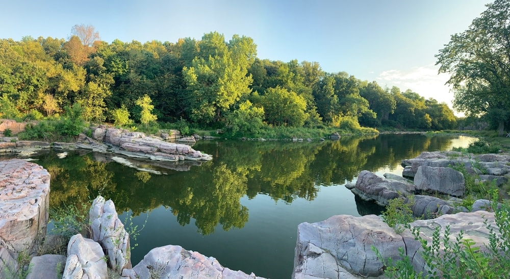 trees reflecting on the waters of slow-moving river