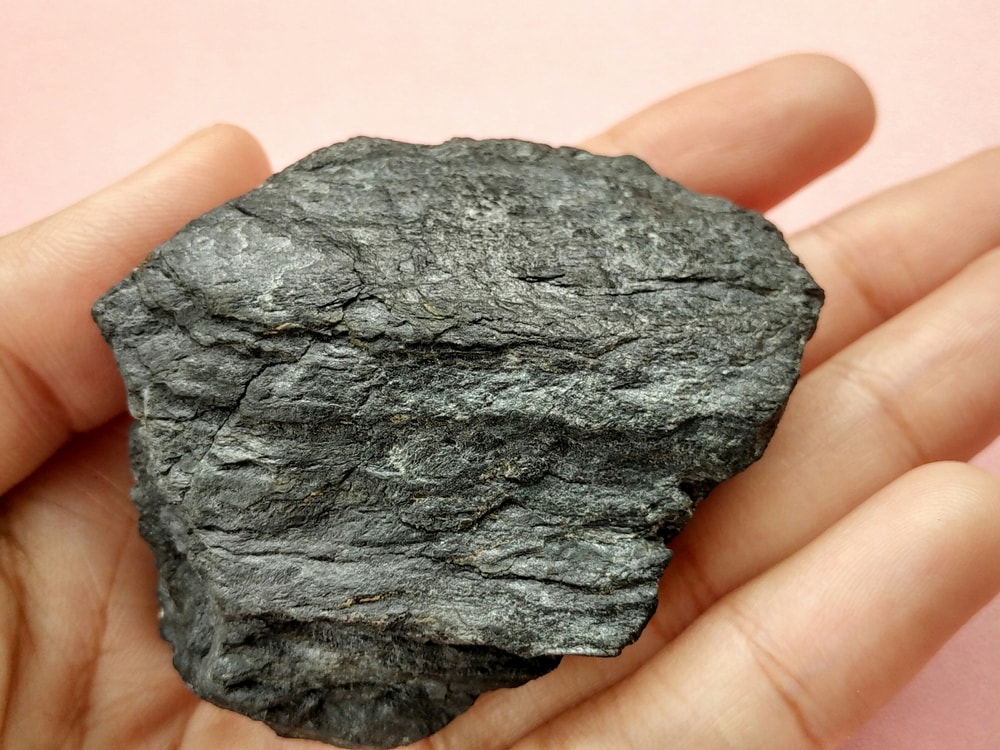Metamorphic rock holding by a man