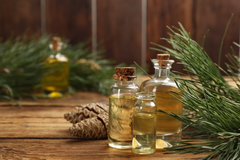 Pine essential oil, cones and branches on wooden table.