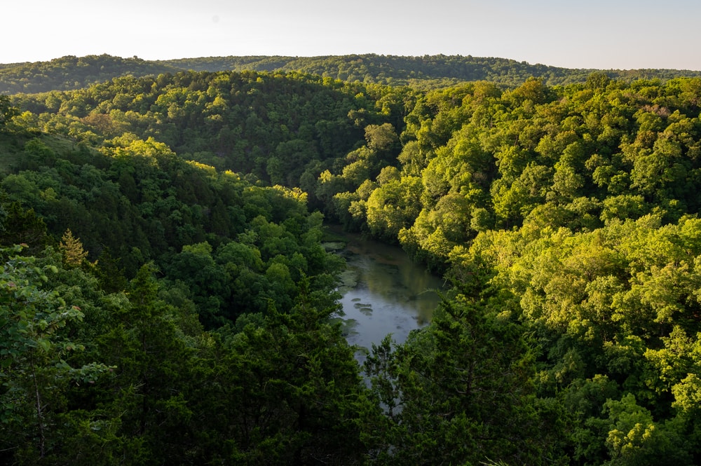 Lake in the middle of a forest