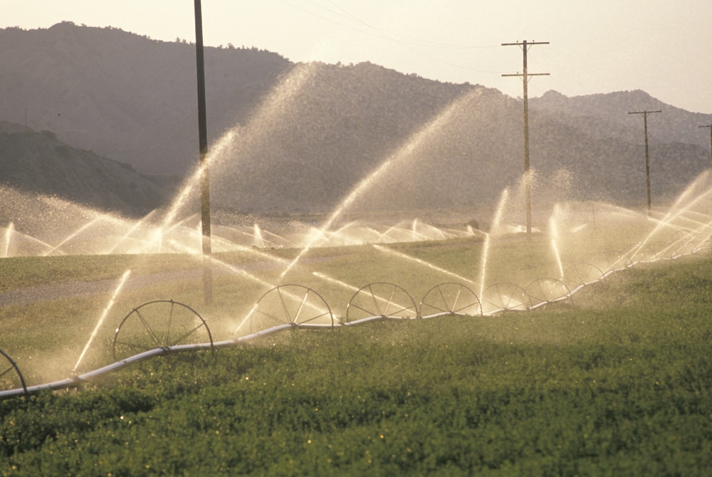 irrigation system in San Joaquin Valley, CA