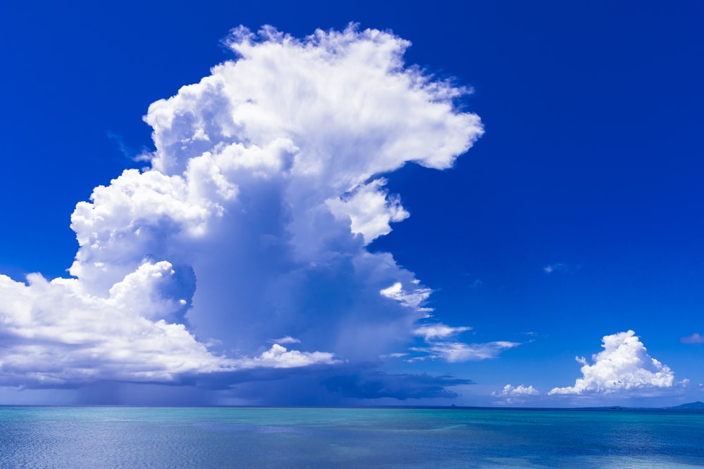Cumulonimbus calvus on top of the ocean
