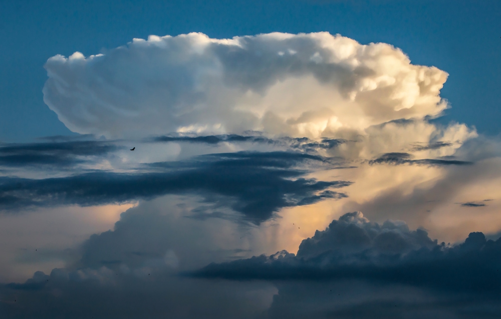 Cumulonimbus cloud in touch with sunset