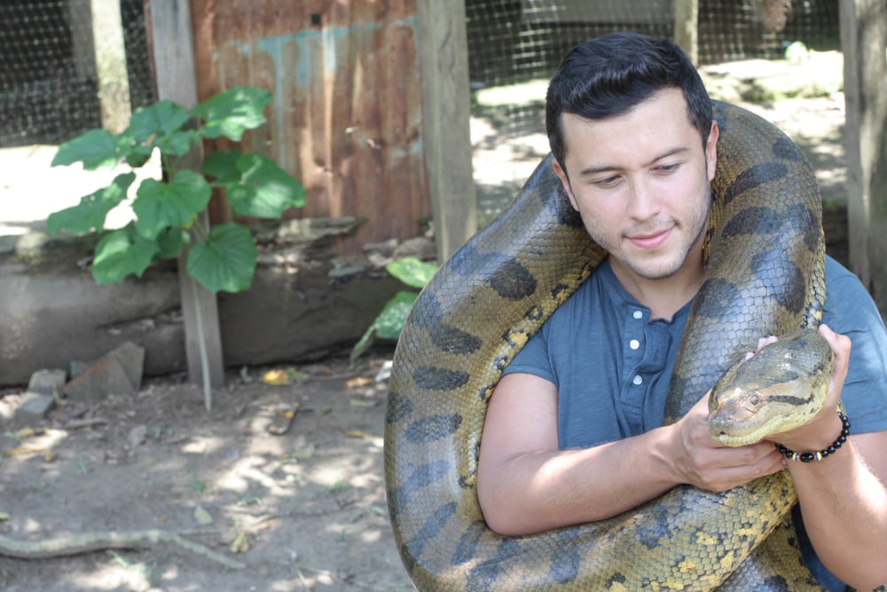 image of a man holding green anaconda
