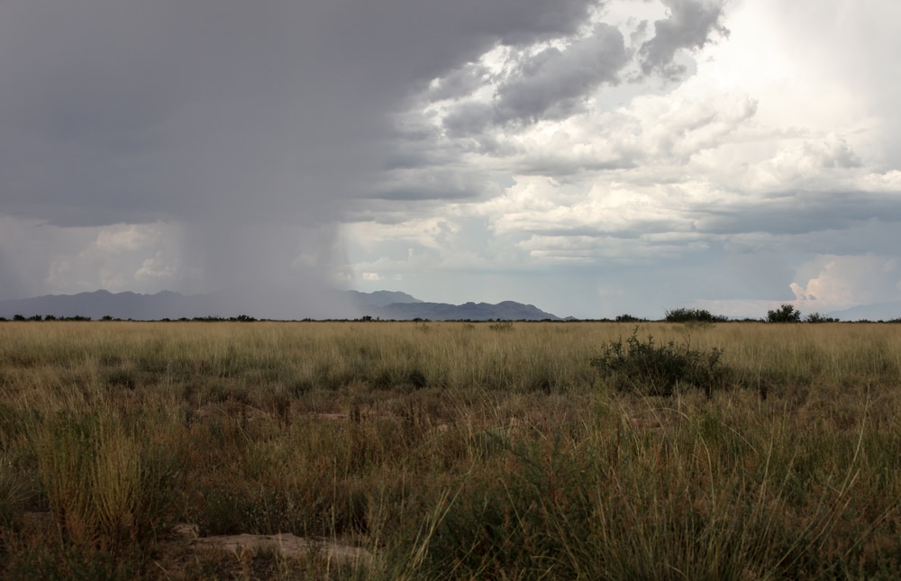 Virga landing on a field