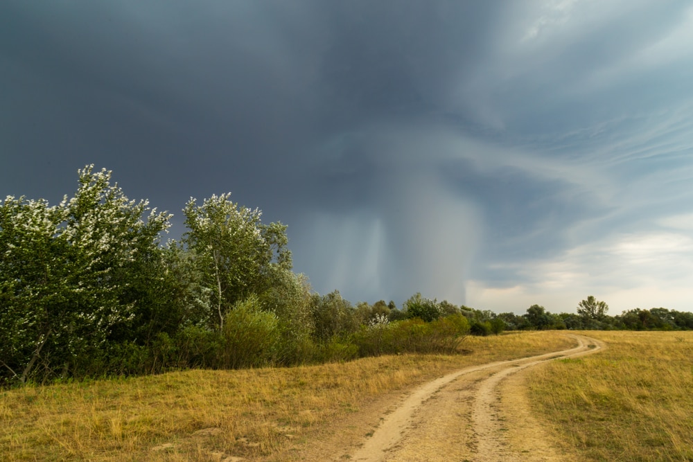 Virga looking like a hurricane in a field
