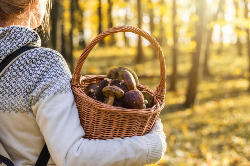a woman holding a basket full of mushrooms