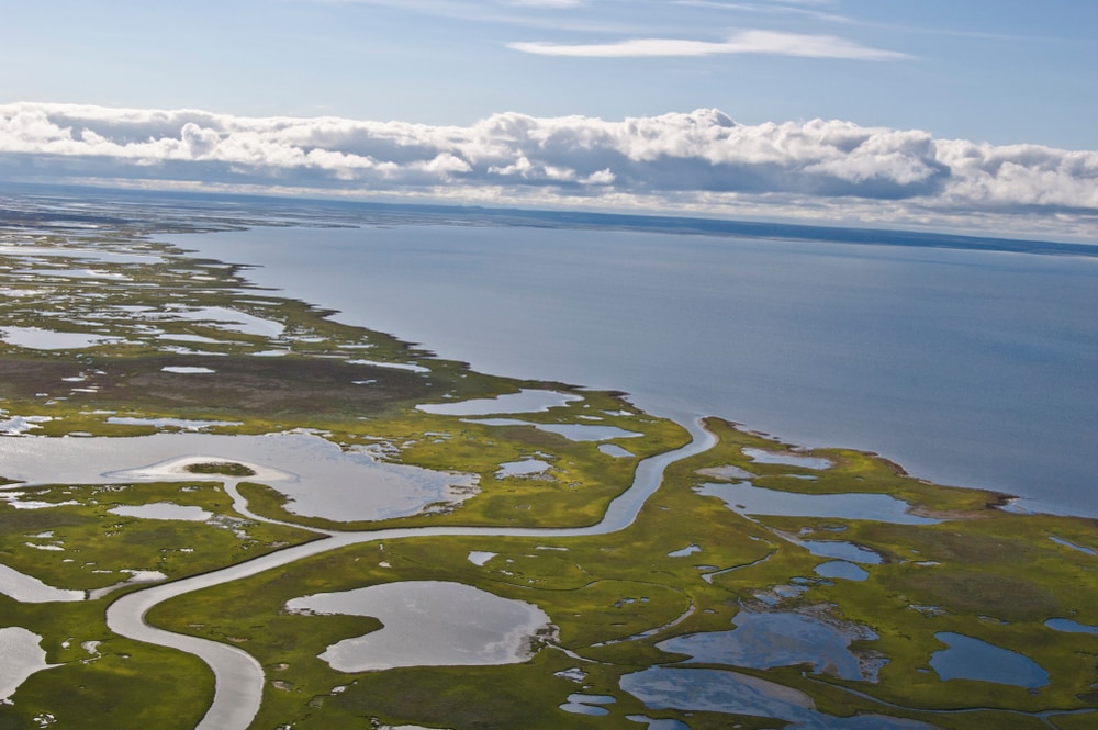 Aerial view of Coastal Plain/Drowned River Estuaries